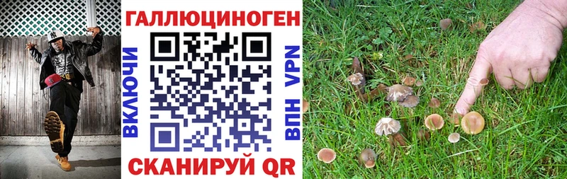 сколько стоит  Алексеевка  hydra маркетплейс  Псилоцибиновые грибы Psilocybe 